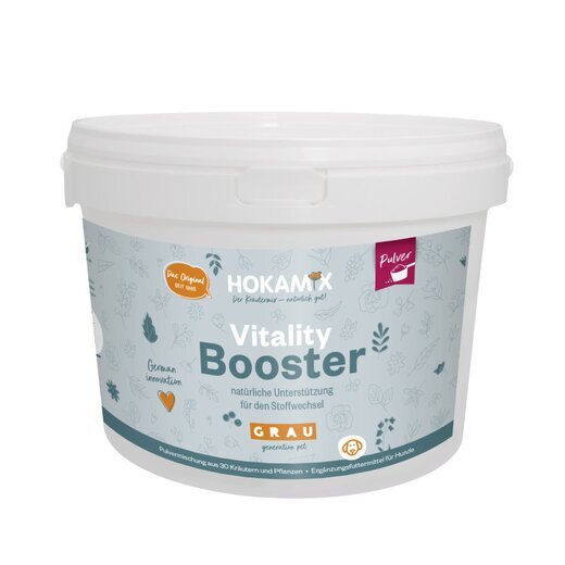 Hokamix Vitality Booster (ehem. Hokamix 30 Pulver)