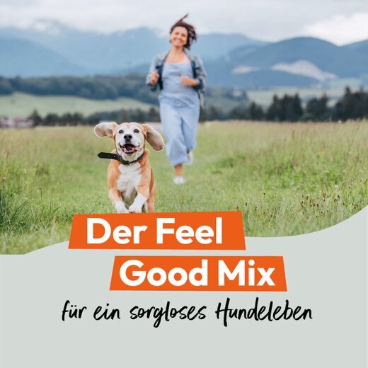 Hokamix Vitality Booster (ehem. Hokamix 30 Pulver)