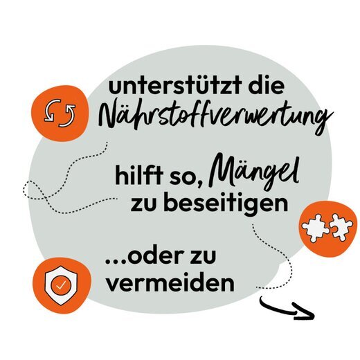 Hokamix Vitality Booster (ehem. Hokamix 30 Pulver)