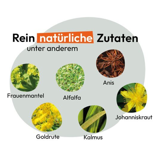 Hokamix Vitality Booster (ehem. Hokamix 30 Pulver)