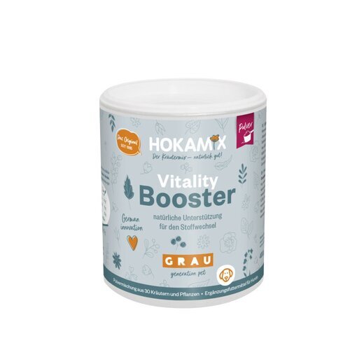 Hokamix Vitality Booster (ehem. Hokamix 30 Pulver)