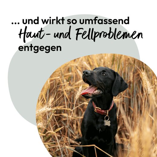 Hokamix Skin & Coat Booster (ehem. Hokamix 30 Derma)