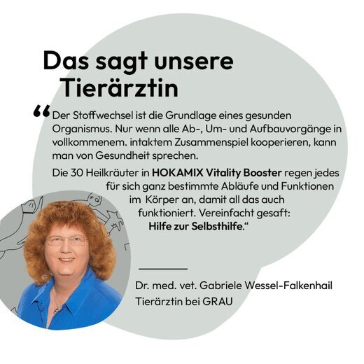 Hokamix Vitality Booster Snack Mini (ehem. Hokamix 30 Snack Petit)