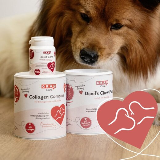 grau Collagen Complex (ehem. Glycofit)