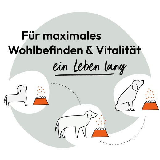 Hokamix Vitality Booster 150 g (ehem. Hokamix 30 Pulver)