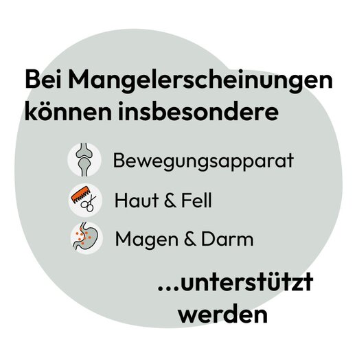 Hokamix Vitality Booster 800 g (ehem. Hokamix 30 Pulver)