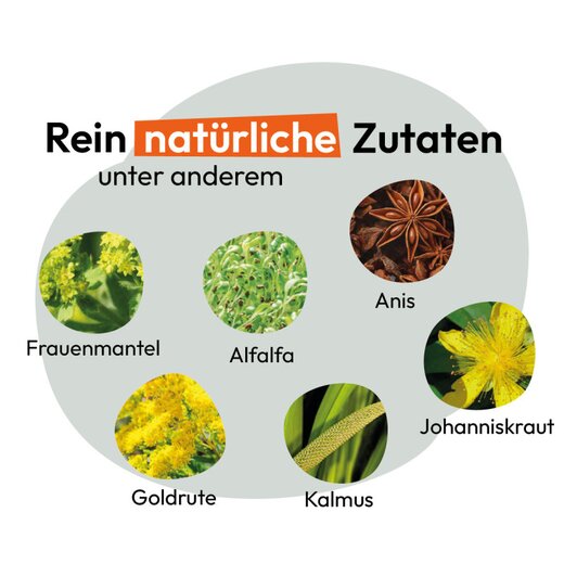 Hokamix Vitality Booster 2,5 kg (ehem. Hokamix 30 Pulver)