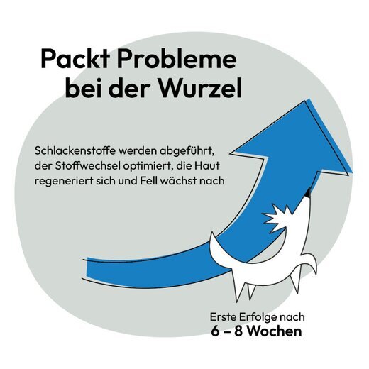 Hokamix Skin & Coat Booster 350 g (ehem. Hokamix 30 Derma)