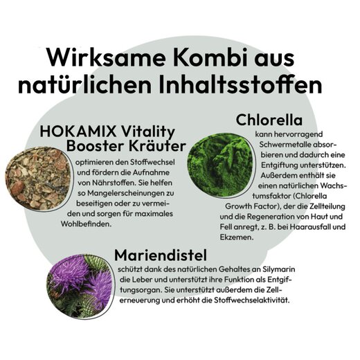 Hokamix Skin & Coat Booster - 750 g (ehem. Hokamix 30 Derma)