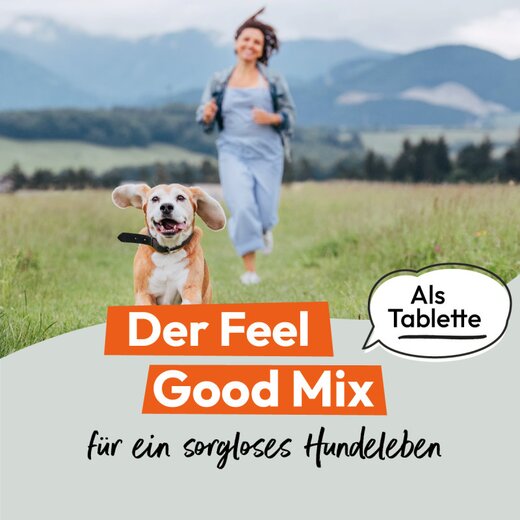 Hokamix Vitality Booster Tabs 80 St�ck (ehem. Hokamix 30 Tabletten)