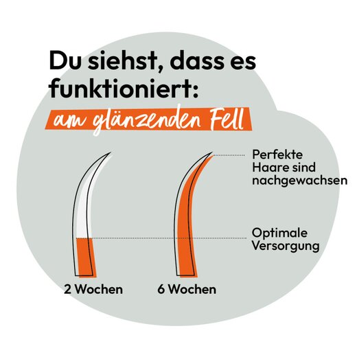 Hokamix Vitality Booster Tabs 200 St�ck (ehem. Hokamix 30 Tabletten)