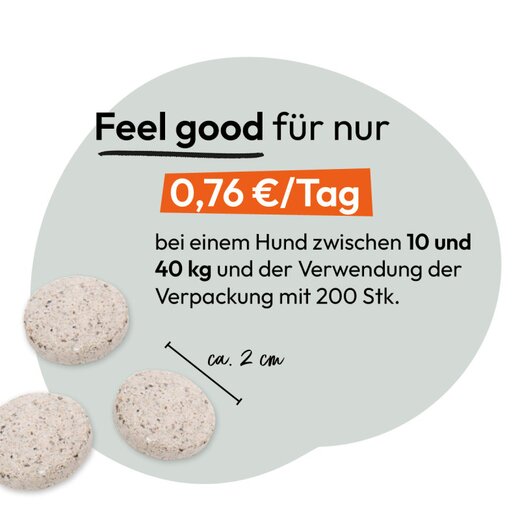 Hokamix Vitality Booster Tabs 400 St�ck (ehem. Hokamix 30 Tabletten)