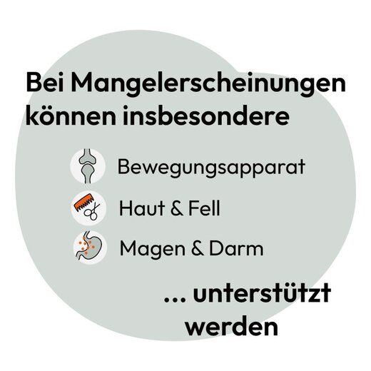 Hokamix Vitality Booster Snack Mini 800 g (ehem. Hokamix 30 Snack Petit)