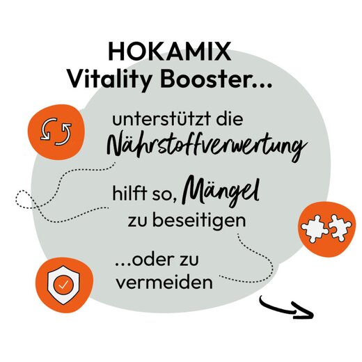 Hokamix Vitality Booster Snack Mini 4,5 kg (ehem. Hokamix 30 Snack Petit)