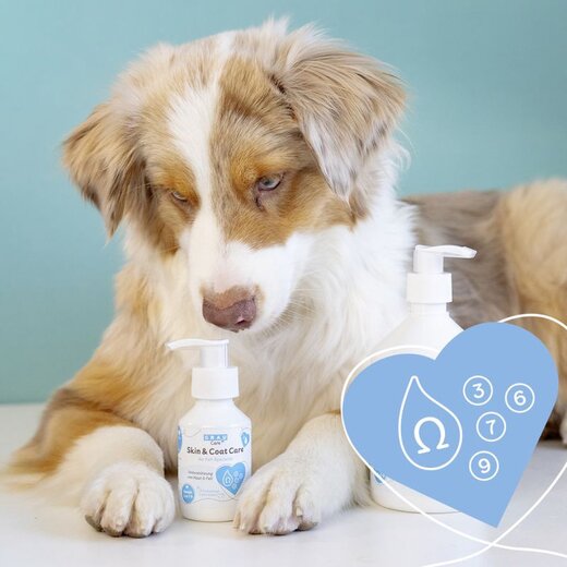 Grau Skin & Coat Care - 250 ml (ehem. Skin & Shine)