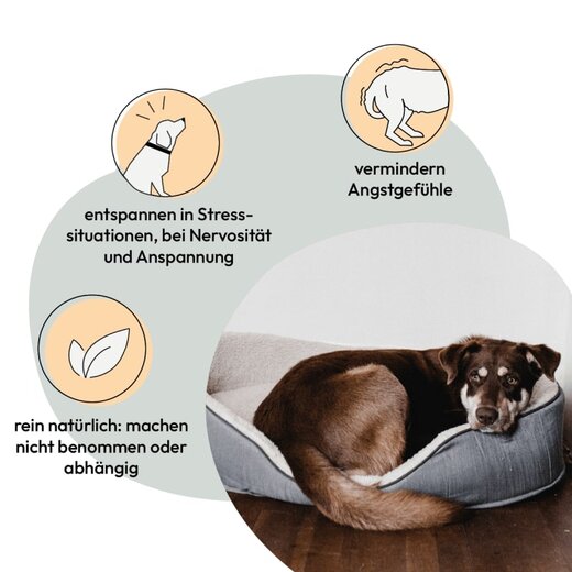 Grau StressLess (ehem. Stress Tabletten) - 120 Stk