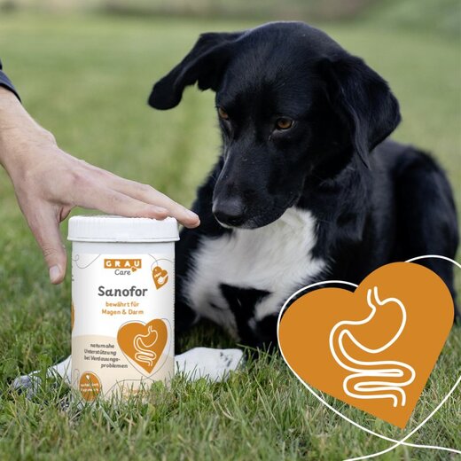 Grau Sanofor - 150 g