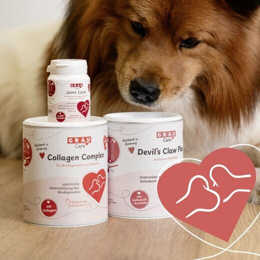 grau Collagen Complex (ehem. Glycofit) - 500 g