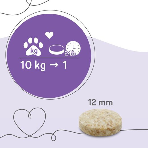 Grau Garlic Tabs (ehem. Knoblauch-Tabletten) - 200 St�ck