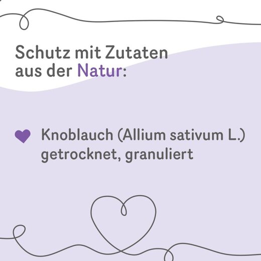 Grau Garlic Granulate (ehem. Knoblauch-Granulat) - 150 g
