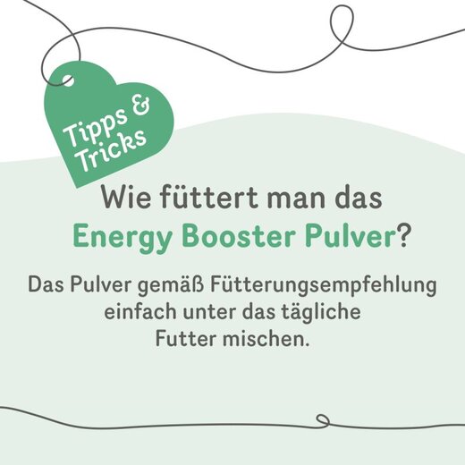 Grau Energy Booster (ehem. Rinderfettpulver) - 400 g