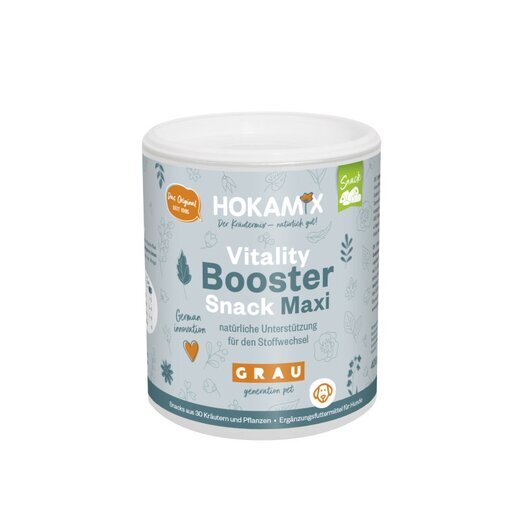 Hokamix Vitality Booster Snack Maxi (ehem. Hokamix 30 Snack Maxi)
