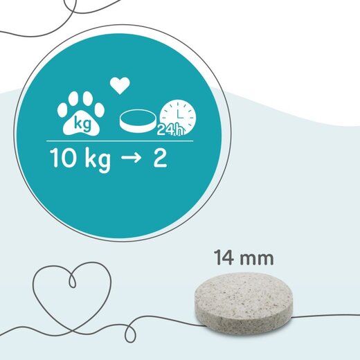 Grau Pigment Booster (ehem. Holunder-Tabletten) - 200 St�ck