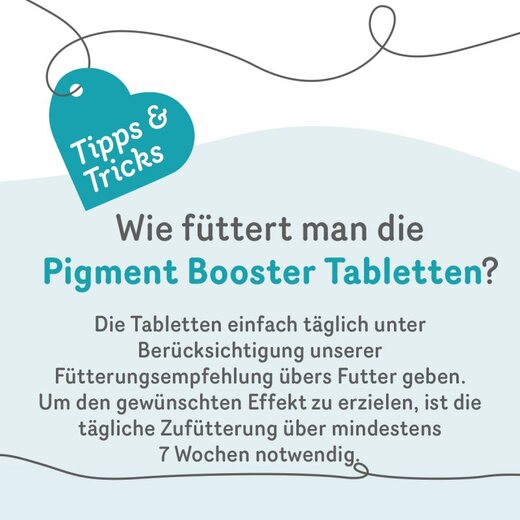 Grau Pigment Booster (ehem. Holunder-Tabletten) - 500 St�ck