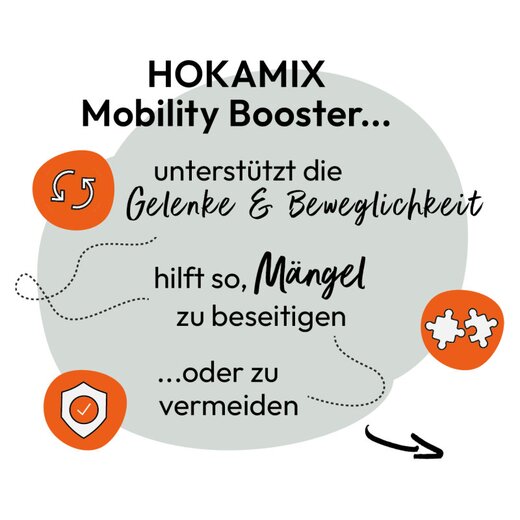 Hokamix Mobility Booster Tabs 390 Stk. (ehem. Hokamix 30 Mobility Gelenk+ Tabletten)