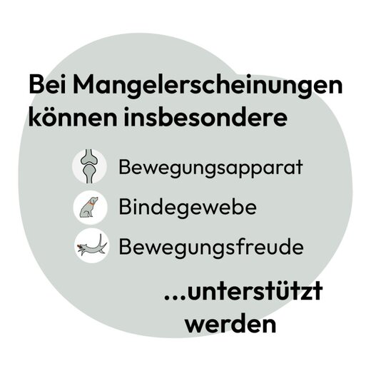 Hokamix Mobility Booster 350 g (ehem. Hokamix 30 Mobility Gelenk+ Pulver)