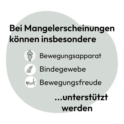 Hokamix Mobility Booster 750 g (ehem. Hokamix 30 Mobility Gelenk+ Pulver)