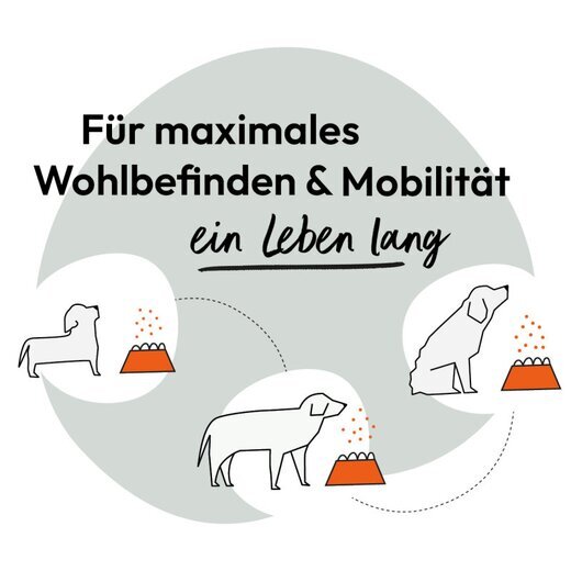 Hokamix Mobility Booster 750 g (ehem. Hokamix 30 Mobility Gelenk+ Pulver)