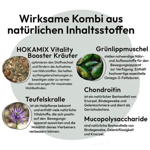 Hokamix Mobility Booster 1.500 g (ehem. Hokamix 30 Mobility Gelenk+ Pulver)