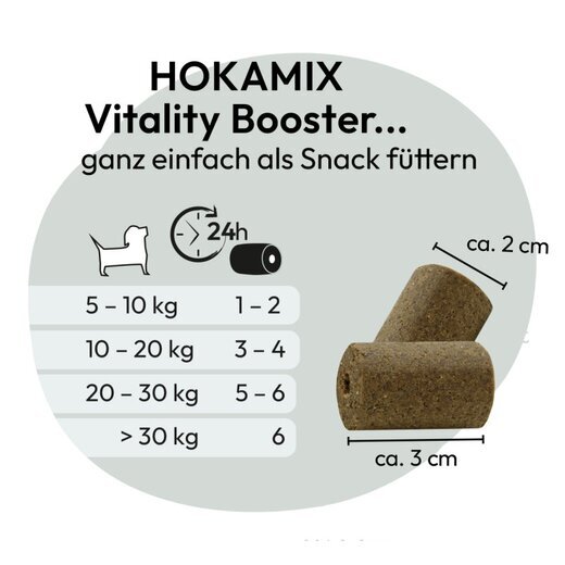 Hokamix Vitality Booster Snack Maxi 400 g (ehem. Hokamix 30 Snack Maxi)
