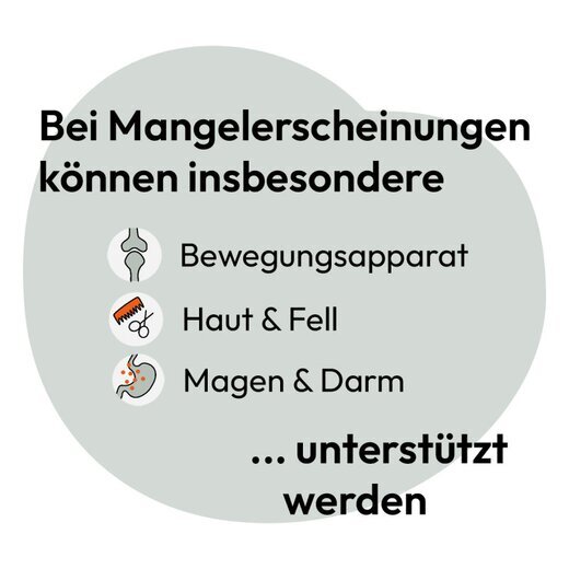 Hokamix Vitality Booster Snack Maxi 400 g (ehem. Hokamix 30 Snack Maxi)