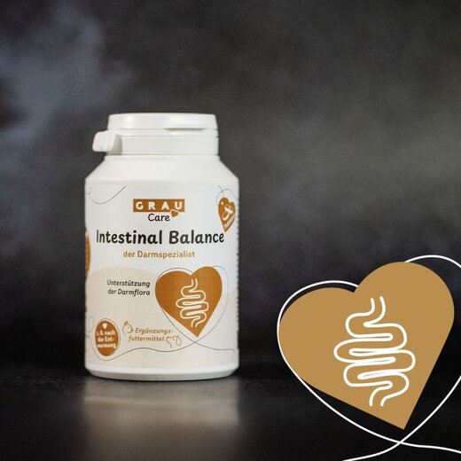 grau Intestinal Balance (ehem. Intestinal Plus Tabletten) - 120 St�ck