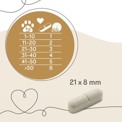 grau Intestinal Balance (ehem. Intestinal Plus Tabletten) - 120 St�ck