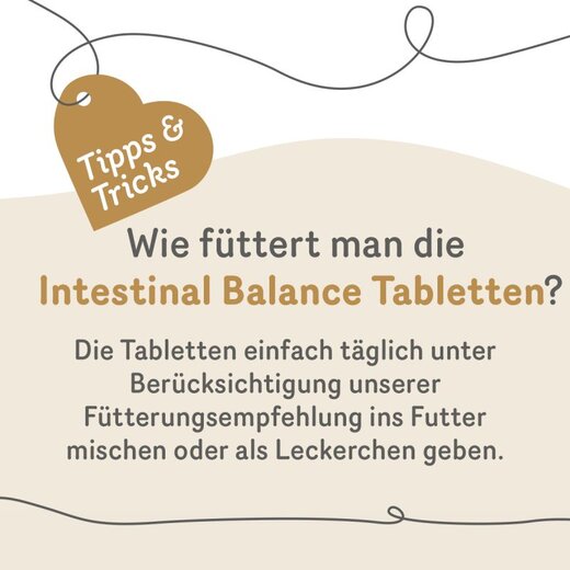 grau Intestinal Balance (ehem. Intestinal Plus Tabletten) - 120 St�ck