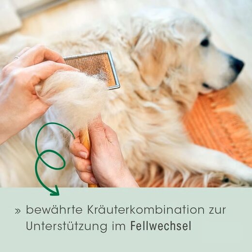 cdVet Fell & Haut Vital Hund & Katze - 750 g