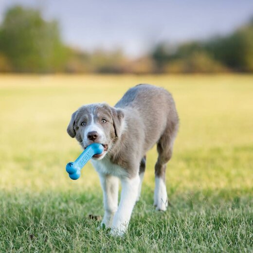 KONG Puppy Goodie Bone 13 cm