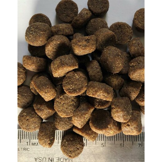Regal Large Breed Puppy Recipe 11,8 kg
