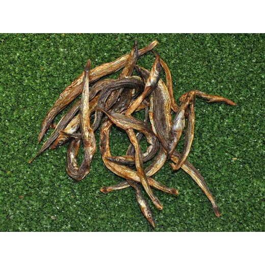 Getrockneter Fisch (Sprotten) 500 g (5 x 100 g)