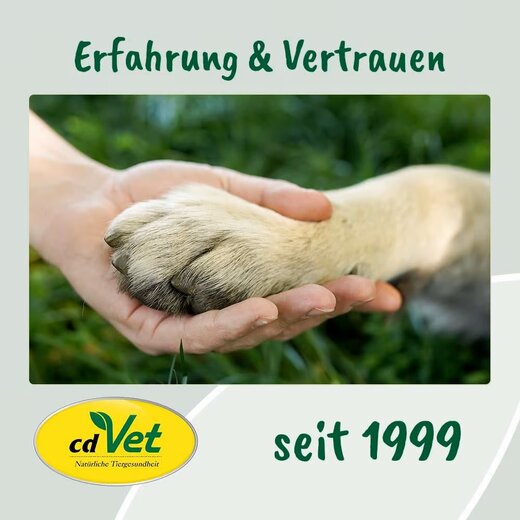 cdVet VeaVet WundEx Spray