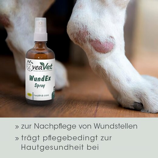 cdVet VeaVet WundEx Spray