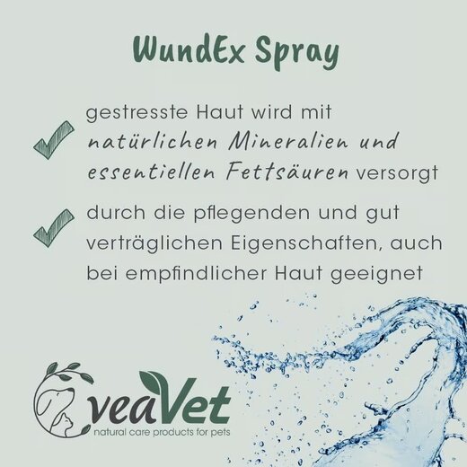 cdVet VeaVet WundEx Spray