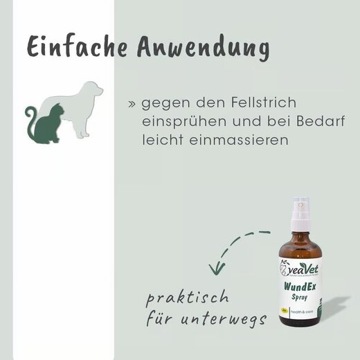 cdVet VeaVet WundEx Spray
