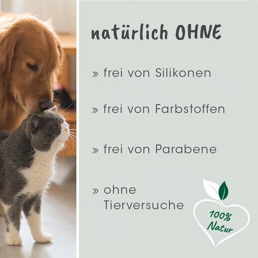 cdVet VeaVet WundEx Spray