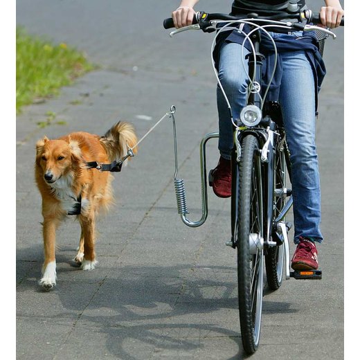 Fahrrad-Fhrhalter Doggy Guide