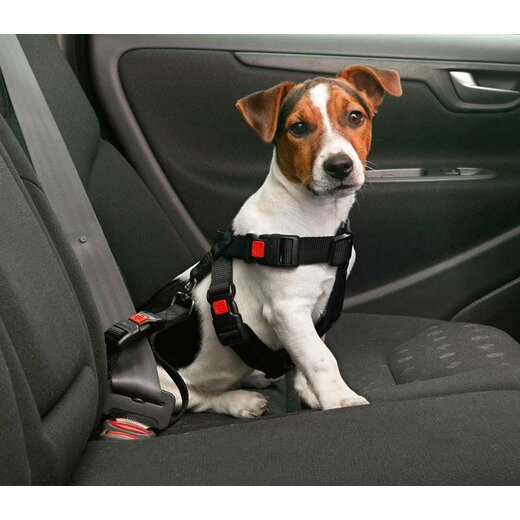Universal Hunde Sicherheitsgurt fürs Auto - passend für alle