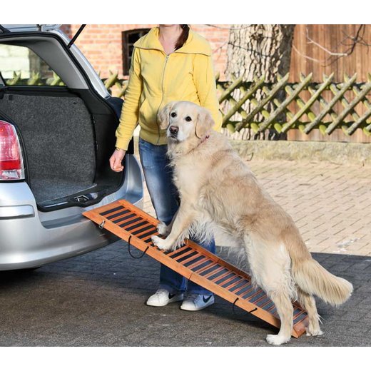 Hunderampe Car Gangway gnstig kaufen
